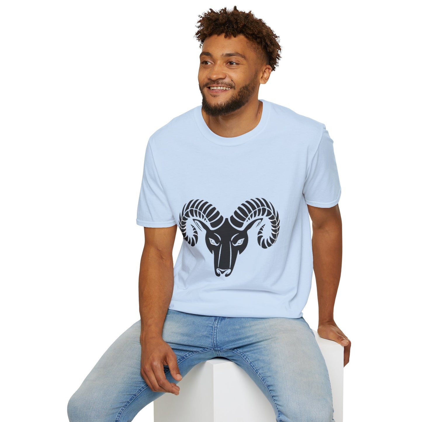 Camiseta Aries