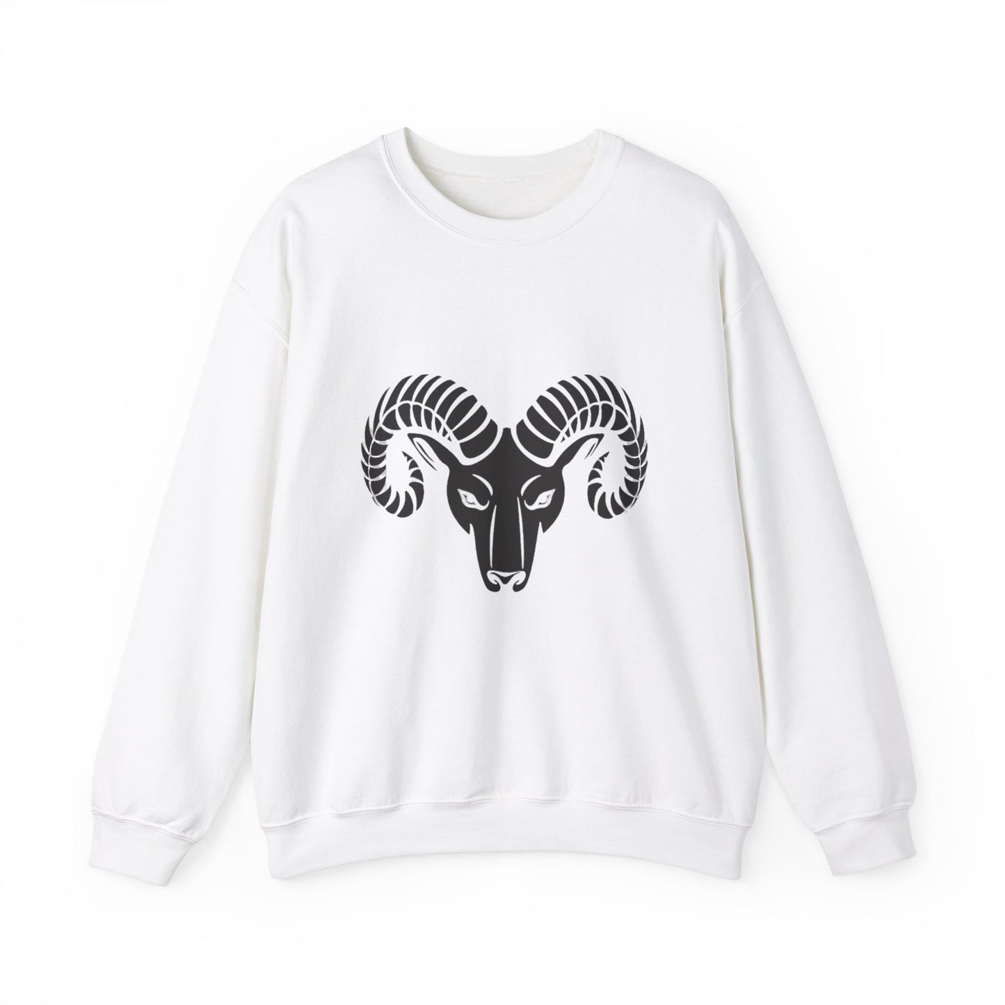 Sudadera Aries™