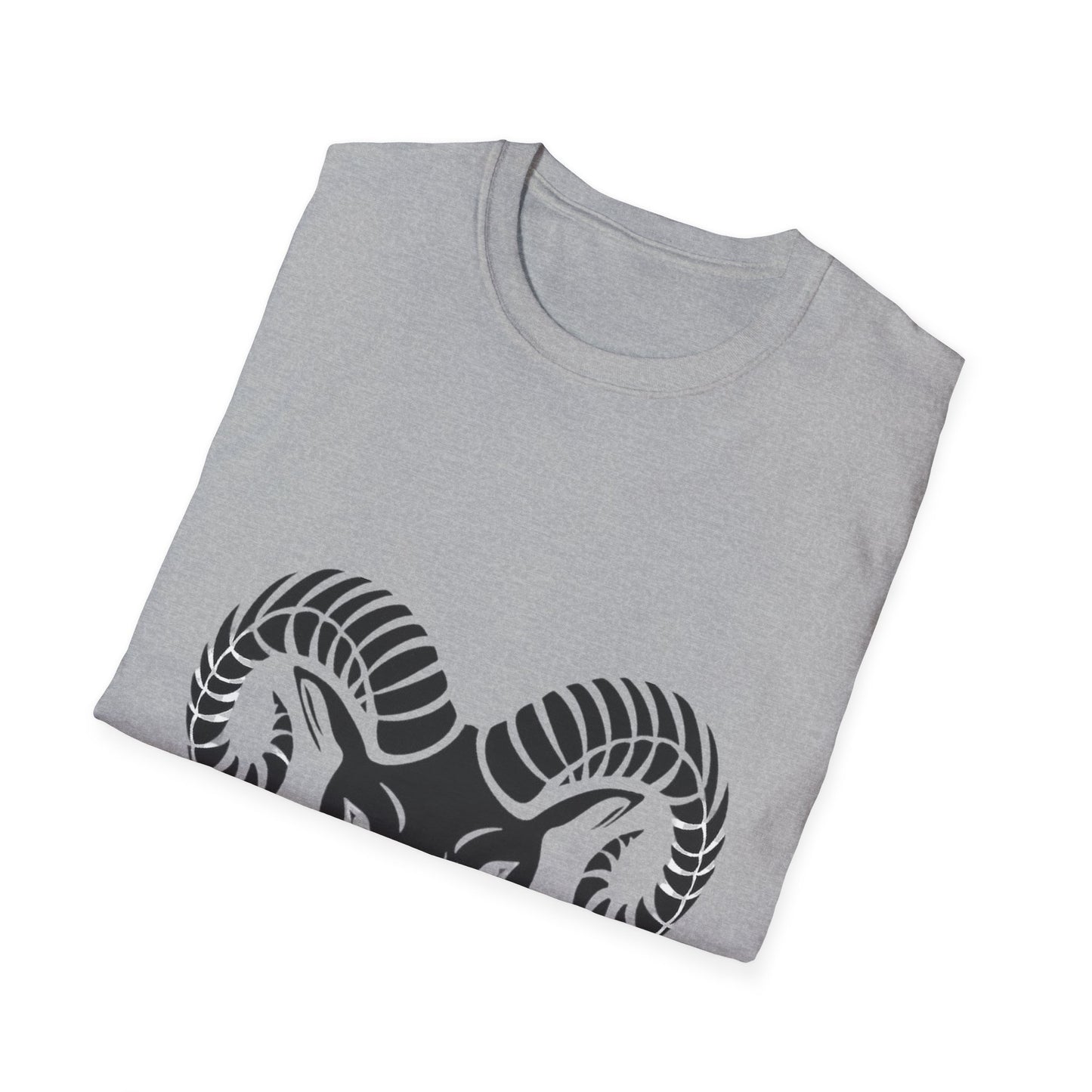 Camiseta Aries