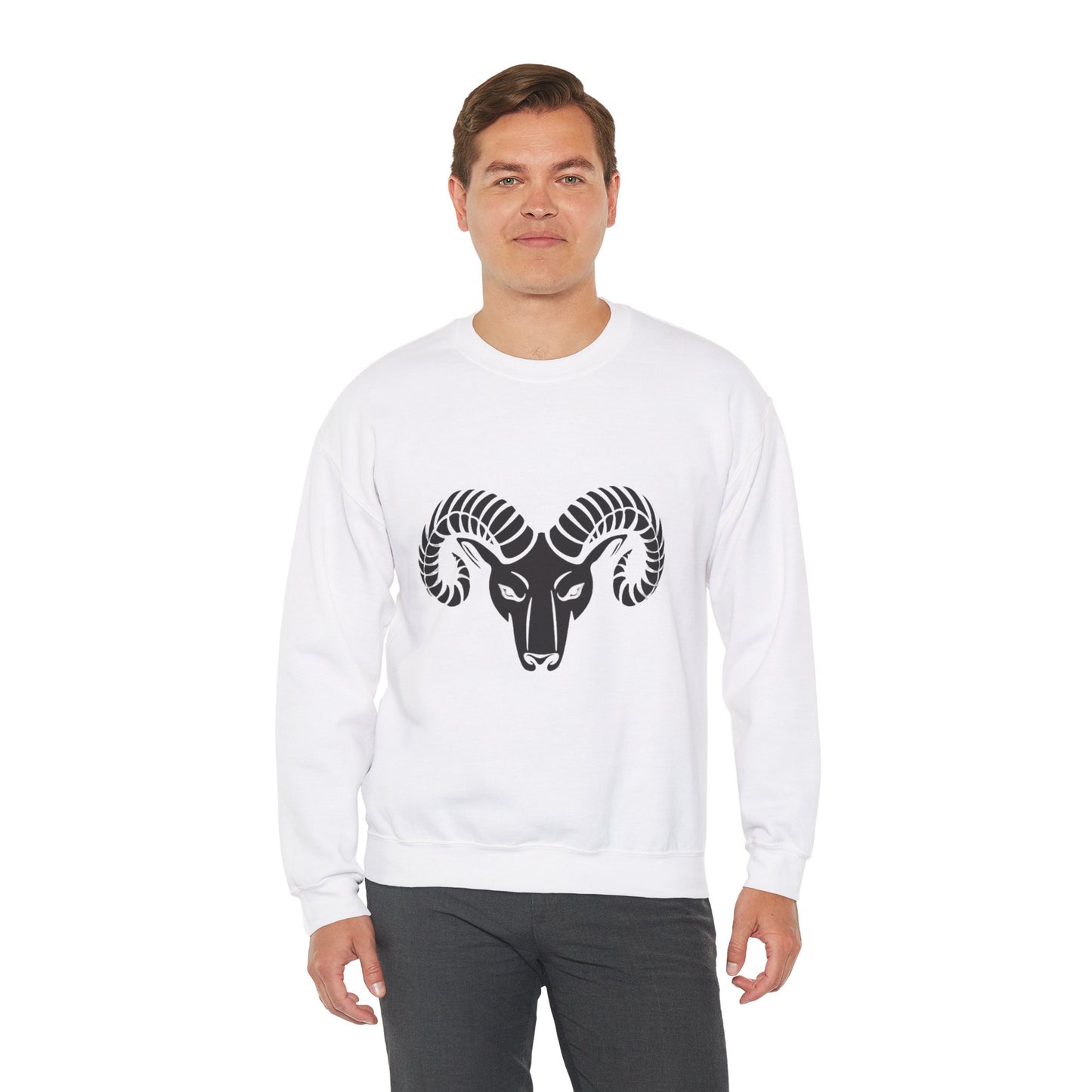 Sudadera Aries™