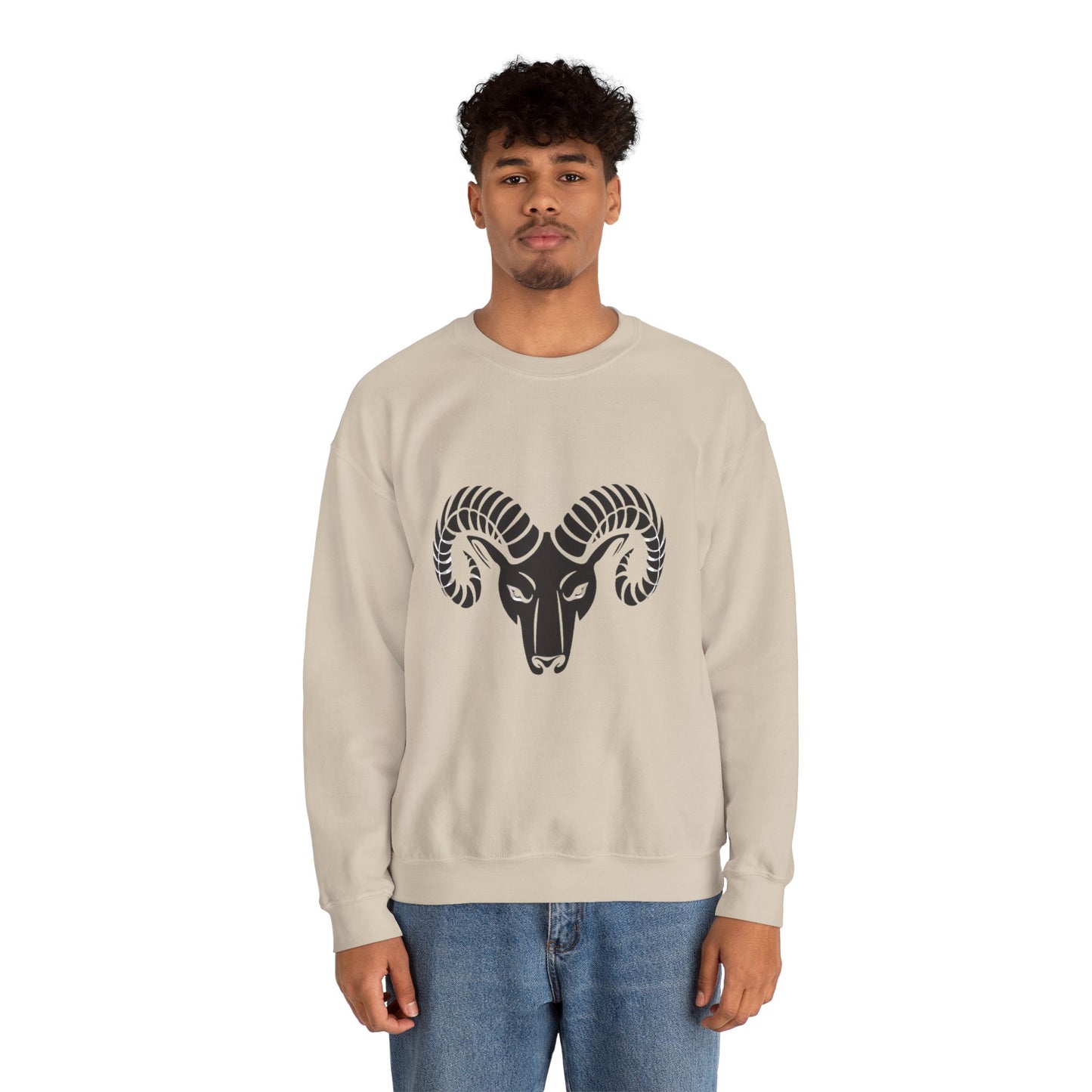 Sudadera Aries™